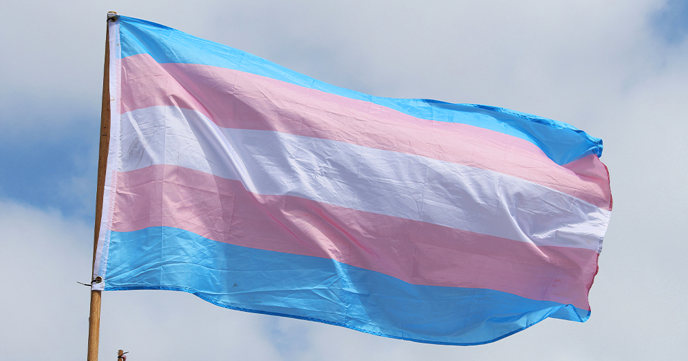 This article is about a case a trans woman won against a social media app. In the photo, a trans flag flying against the sky.