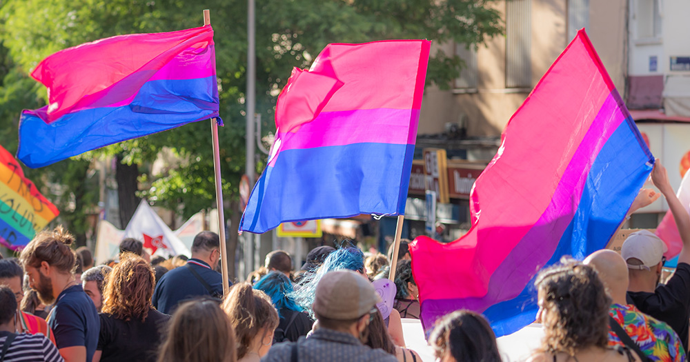 This article is about the history of Bi Irish. The image shows three bisexual flags waving in a crowd.