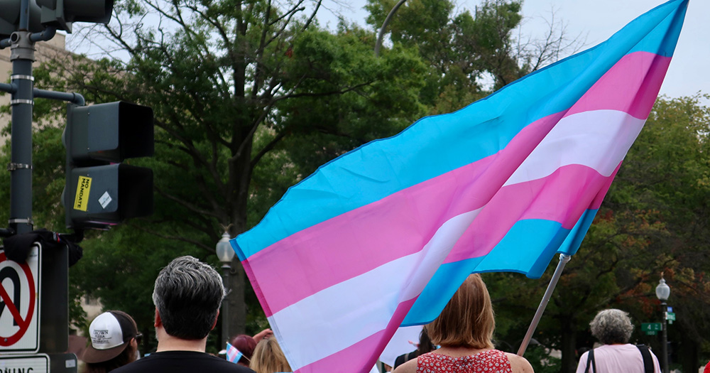 This article is about the GHN calling on the Irish government to approving gender-affirming care services. The image shows a trans flag being carried at a protest.