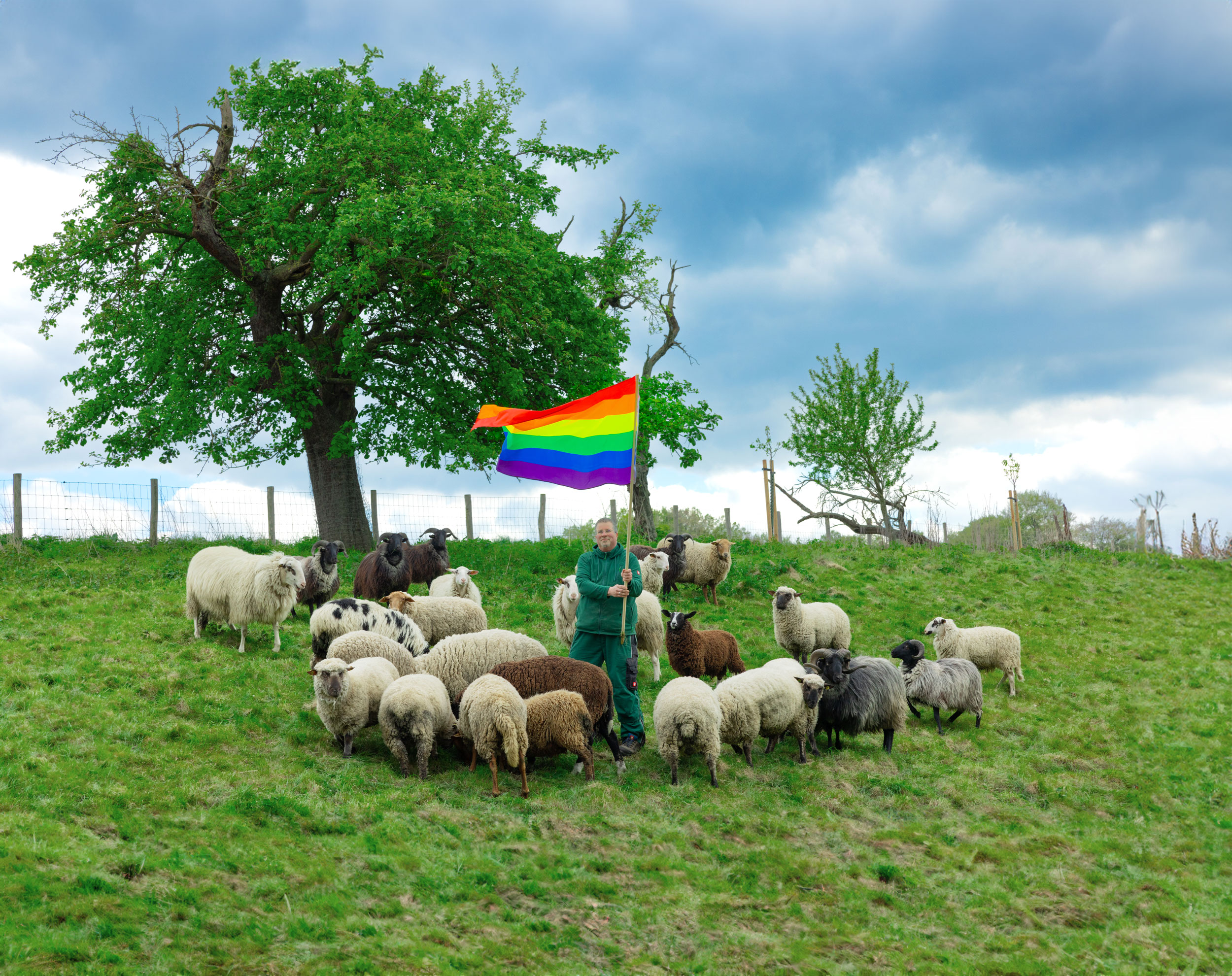 This queer couple Halloween costume idea is about gay sheep. In the picture a farmer is standing on a field surrounded by a flock of gay rams. He is waving a rainbow flag.