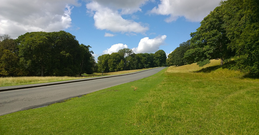 This article is about a teen being charged over an incident in Phoenix Park. The image is of Phoenix Park.