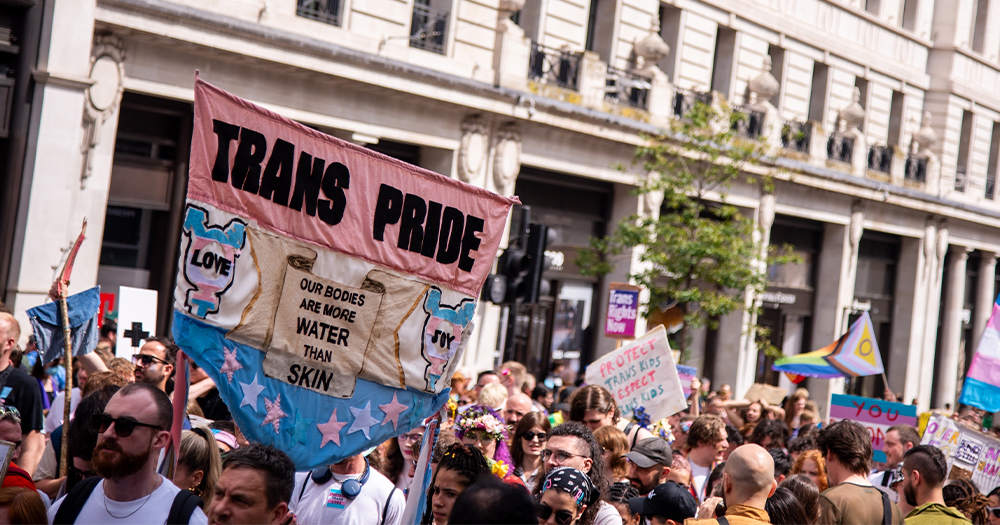 This article is about trans people self-policing. In the photo, a march for trans rights with a person carrying a banner that reads trans pride.