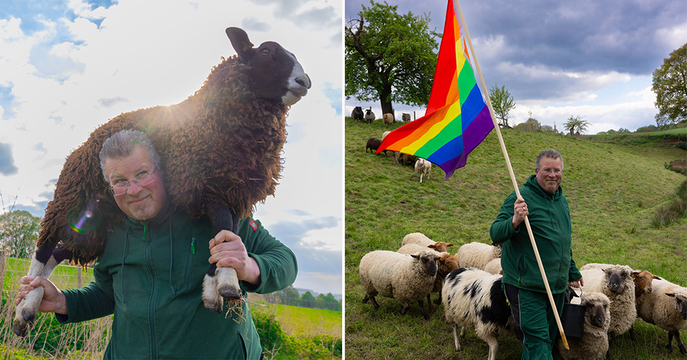 These images show farmer Michael Stücke with his gay sheep. On the left, Stücke carries on of the rams on his back, on the right of the picture, Stücke is standing on a field, holding up a rainbow flag and being surrounded by the sheep.