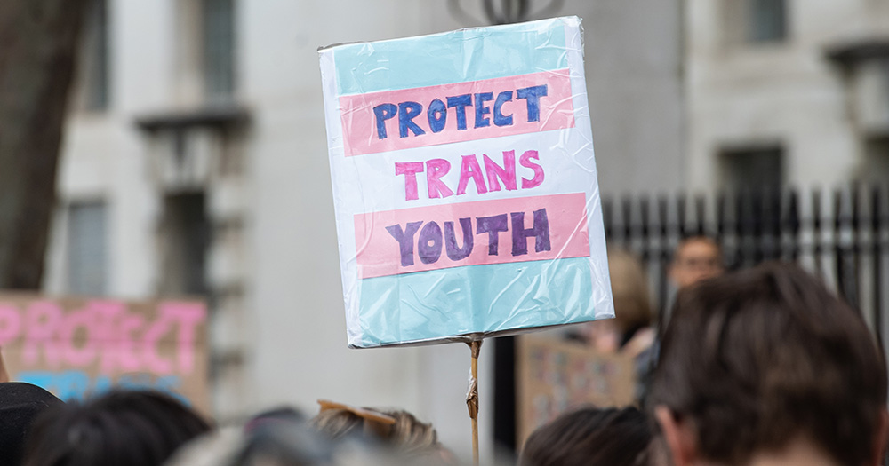 This article is about the UK's puberty blockers ban. The image shows a protest sign reading "protect trans youth".